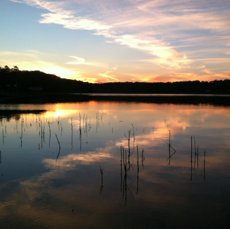 Thanksgiving in South Carolina